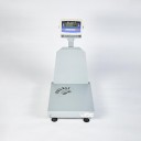 Boyunlu 40x50 7516-300kg Kuleli Tartım Baskülü